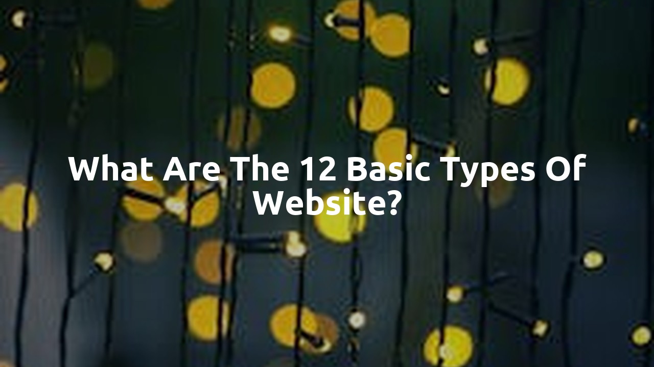 What are the 12 basic types of website?